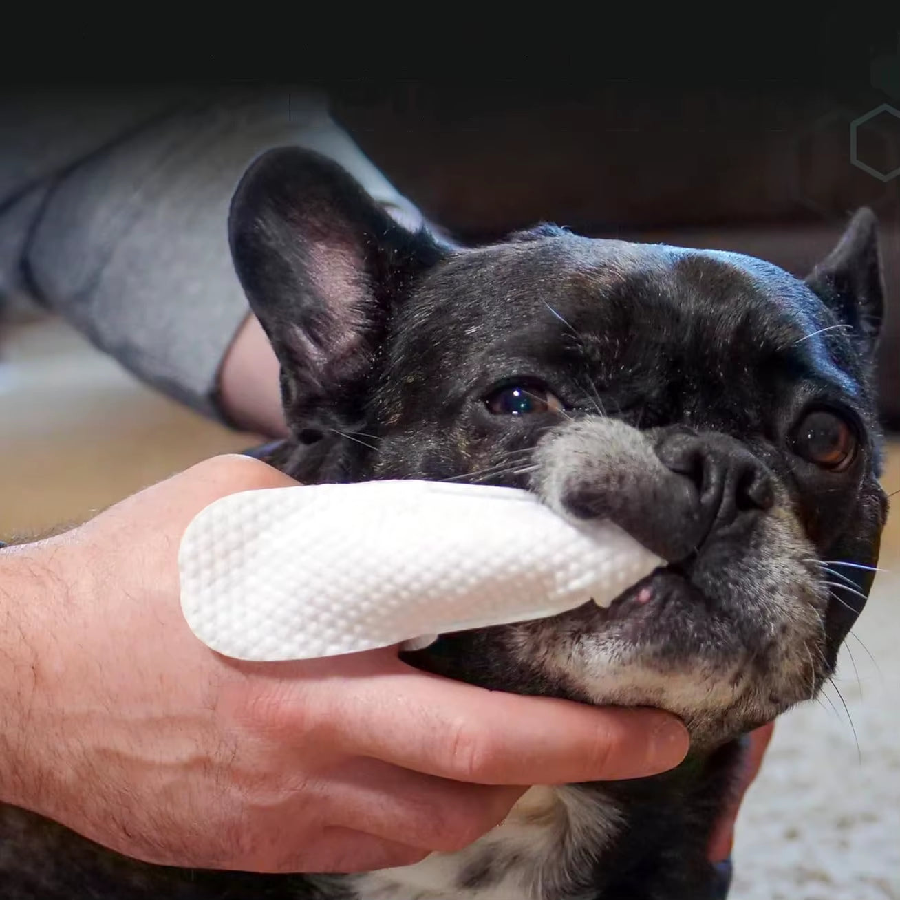 In Stock Pet Ear Teeth Cleaning Finger Wipes Household Gently Dog Dental Finger Wipes Safe Pet Cleansing Wet Tissue